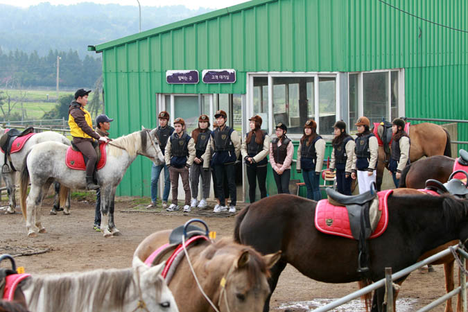 외국인 유학생 한국문화탐방단 아우르기 - 관광사업